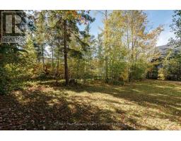 64 60th Street N, Wasaga Beach, ON L9Z1V7 Photo 5