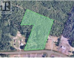 307 Doyleville Road, Lorne, NB E8G1H3 Photo 4