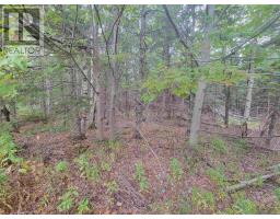 Lot 3 Wilson Drive, Upper Rawdon, NS B0N2N0 Photo 5
