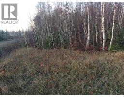 9 110 Mc Rue Honore, Tracadie, NB E1X1A6 Photo 4