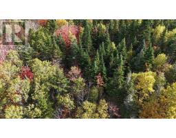 Lot Chesley Road, Barss Corner, NS B0R1A0 Photo 3