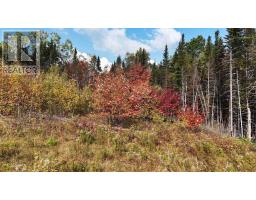 Lot Chesley Road, Barss Corner, NS B0R1A0 Photo 4