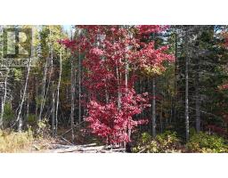 Lot Chesley Road, Barss Corner, NS B0R1A0 Photo 5