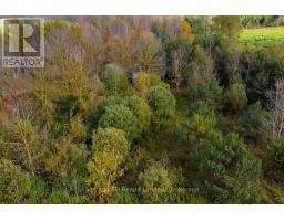 31313 Grey Road 14 Road, Southgate, ON N0G1N0 Photo 4