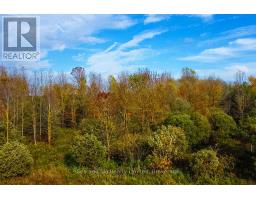 31313 Grey Road 14 Road, Southgate, ON N0G1N0 Photo 5