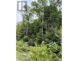 1 Mill Street, Mulgrave, NS B0E2G0 Photo 2