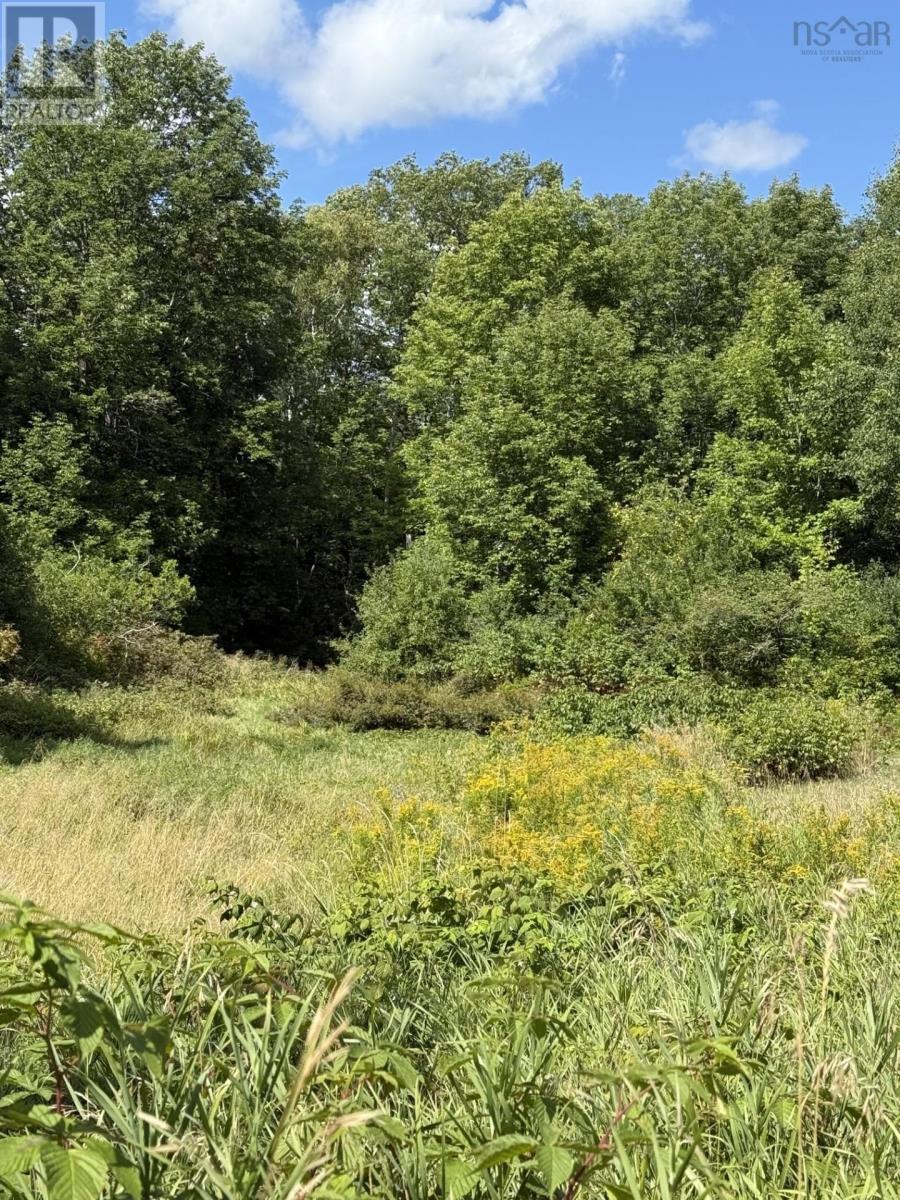 1 2 Lots 1 And 2 Mahoneys Beach