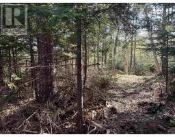 24 1 Forest Drive Extension, Pictou, NS B0K1H0 Photo 3