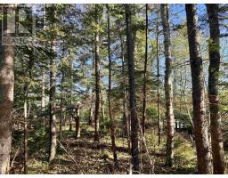 24 2 Forest Drive Extension, Pictou, NS B0K1H0 Photo 4