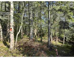 24 2 Forest Drive Extension, Pictou, NS B0K1H0 Photo 5