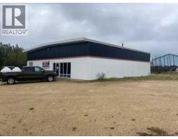 3 Onely Crescent, Swan Hills, AB T0G2C0 Photo 5