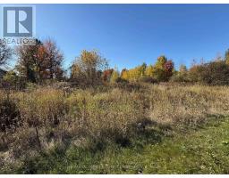 00 Limoges Road, The Nation, ON K0A2M0 Photo 4