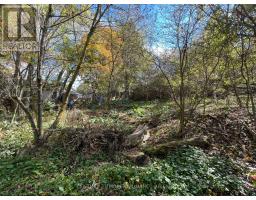 Plan 4 A Blk 3 Lot 10 Mill Street, Amaranth, ON L9W3Z3 Photo 5