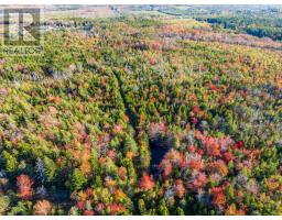 Fort Point Road, Ashmore, NS B0W3T0 Photo 4