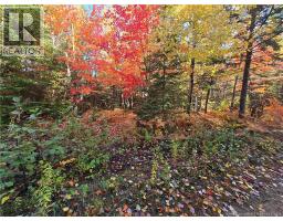 15 Acres Route 113, Inkerman, NB E8P1E2 Photo 5
