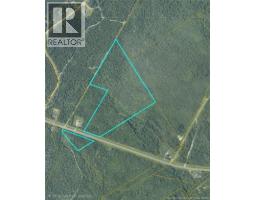 37 Acres Route 113, Inkerman, NB E8P1E2 Photo 4