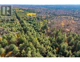 267 321 Cardwell Lake Road, Huntsville, ON P0B1M0 Photo 2