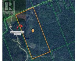 267 321 Cardwell Lake Road, Huntsville, ON P0B1M0 Photo 5