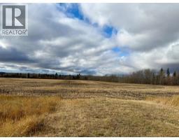 Ne 19 72 9 W 6, Beaverlodge, AB T0H0C0 Photo 2