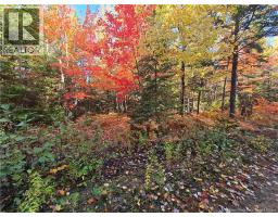 21 7 Acre Route 113, Inkerman, NB E8P1E2 Photo 2