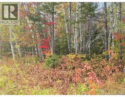 21 7 Acre Route 113, Inkerman, NB E8P1E2 Photo 4