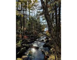 Grant 5942 Jacksons Mountain, East Quinan, NS B0W3M0 Photo 4