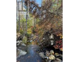 Grant 5942 Jacksons Mountain, East Quinan, NS B0W3M0 Photo 5