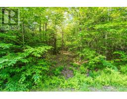 Lot 2 Chemin Theriault Point Road, Belliveaus Cove, NS B0W1M0 Photo 5
