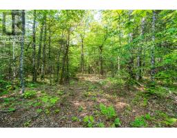 Lot 2 Chemin Theriault Point Road, Belliveaus Cove, NS B0W1M0 Photo 4