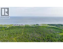 21 9 Acres Rue Acadie, Grandeanse, NB E8N1A3 Photo 4