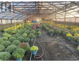 429 Seaview Drive, Upper North Sydney, NS B2A3N7 Photo 5