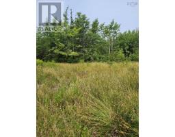 Alder Road, Dutch Brook, NS B1M1B2 Photo 3