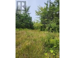 Alder Road, Dutch Brook, NS B1M1B2 Photo 5