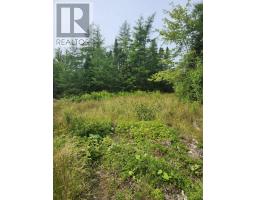 Alder Road, Dutch Brook, NS B1M1B2 Photo 4