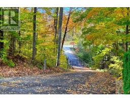 Living room - 14038 Bayview Avenue, Aurora, ON L4G3G8 Photo 2