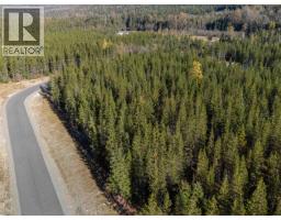 Lot 3 Loeppky Place, Terrace, BC V8G0G5 Photo 3