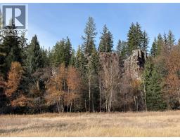 Lot 3 4 Lazy Lake Road, Wasa, BC V0B2K0 Photo 3