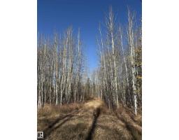 49 50322 Rge Road 10, Rural Parkland County, AB T7Y2A1 Photo 3