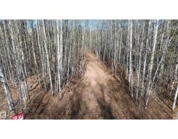 49 50322 Rge Road 10, Rural Parkland County, AB T7Y2A1 Photo 4