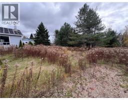 11 Deleavy Road, Hazeldean, NB E7G1L8 Photo 4