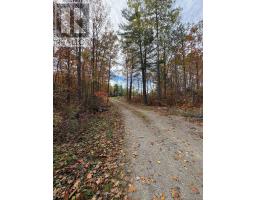 Bedroom - 1295 Deep Bay Road, Minden Hills, ON K0M2L0 Photo 5