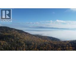 Proposed Lot 4 Richie Road, Rossland, BC V0G1Y0 Photo 4