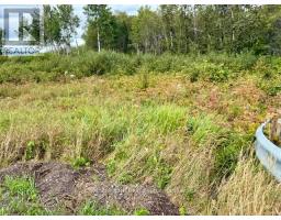 South Triangle 0 Hwy 11 North Highway, Englehart, ON P0J1H0 Photo 4