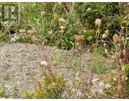 North Triangle 0 Highway 11 North Highway, Englehart, ON P0J1H0 Photo 5