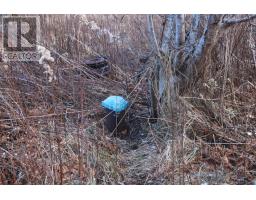 9230 St Croix Cove Road, St Croix, NS B0S1L0 Photo 5