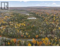 Pt Lt 12 Con V, Image 3