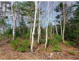 Lot 2 Bjoern Seelhorst Dr, French Road, NS B1K0B1 Photo 5