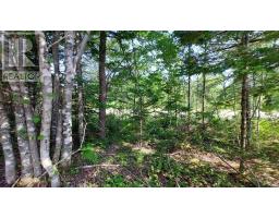 70 Acre Highway 4, Grande Anse, NS B0E1J0 Photo 5