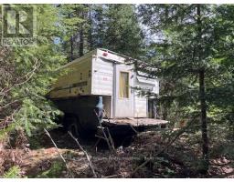 0 County Road 503, Minden Hills, ON K0M2A1 Photo 4