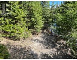 0 County Road 503, Minden Hills, ON K0M2A1 Photo 5